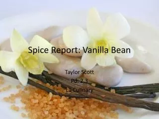 spice report vanilla bean