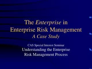 the enterprise in enterprise risk management a case study